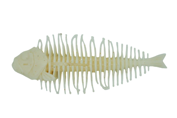 DSTYLE Geelacanth