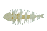 DSTYLE Geelacanth