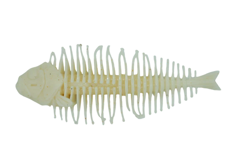 DSTYLE Geelacanth