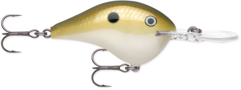 Rapala DT 10 Crankbait