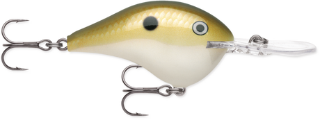 Rapala DT 10 Crankbait