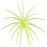 Hag's Prickly Pear