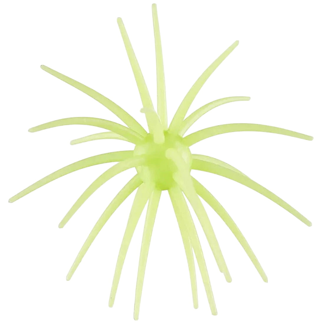 Hags Prickly Pear