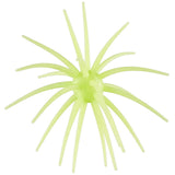Hags Prickly Pear