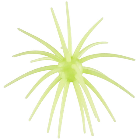 Hags Prickly Pear