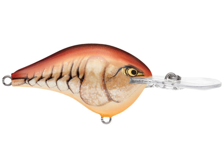 Rapala DT 12 Crankbait