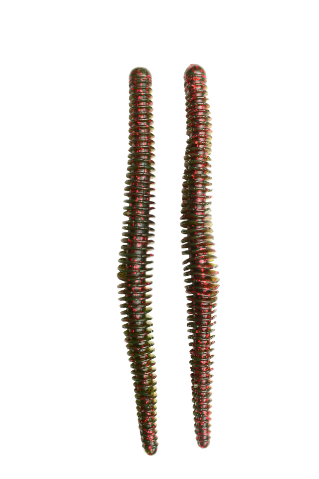 Hag's Tornado Worm