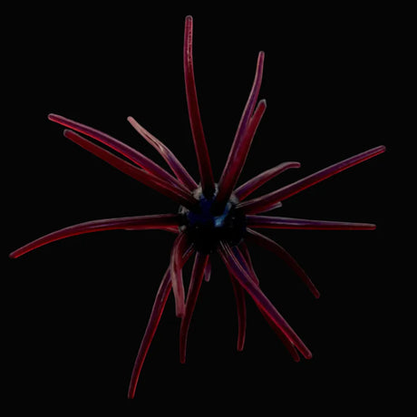 Burtek Tackle Jerkin Urchin 25mm