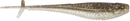 Rapala Crush City Mooch Minnow