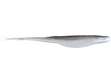 Zoom Super Flukes Jr., Regular, Magnum
