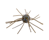 Strike King Tumbleweed Salted 3in.