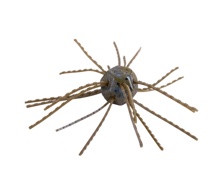 Strike King Tumbleweed Floating 3in.