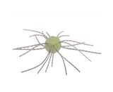 Strike King Tumbleweed Salted 3in.