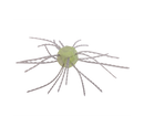 Strike King Tumbleweed Floating 3in.