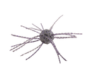 Strike King Tumbleweed Salted 3in.