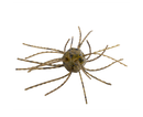 Strike King Tumbleweed Salted 3in.