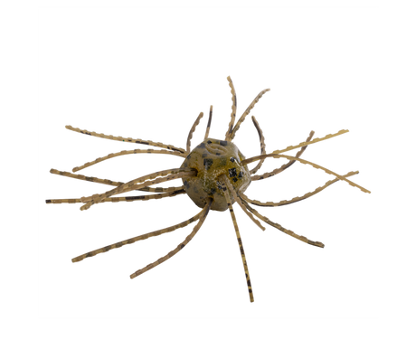 Strike King Tumbleweed Floating 3in.