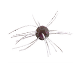 Strike King Tumbleweed Salted 3in.