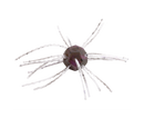 Strike King Tumbleweed Floating 3in.