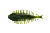 DSTYLE Geelacanth