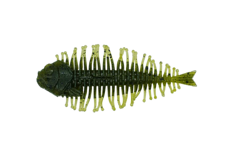 DSTYLE Geelacanth