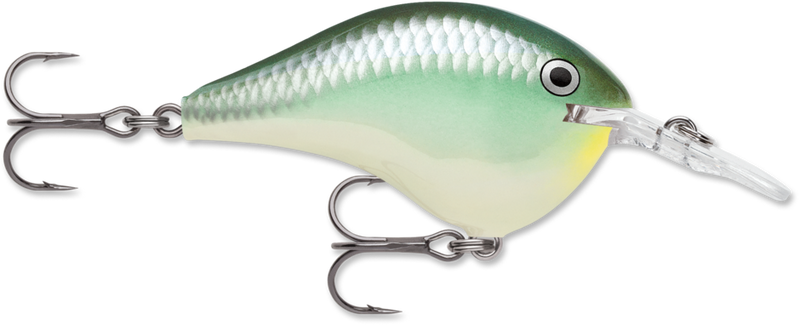 Rapala DT 4 Crankbait