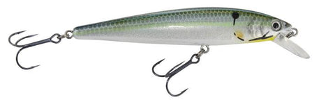 Strike King KVD Jerkbait