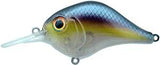 Bill Lewis MR-6 Crankbait