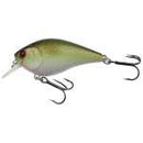 Lucky Craft 1.5 Squarebill