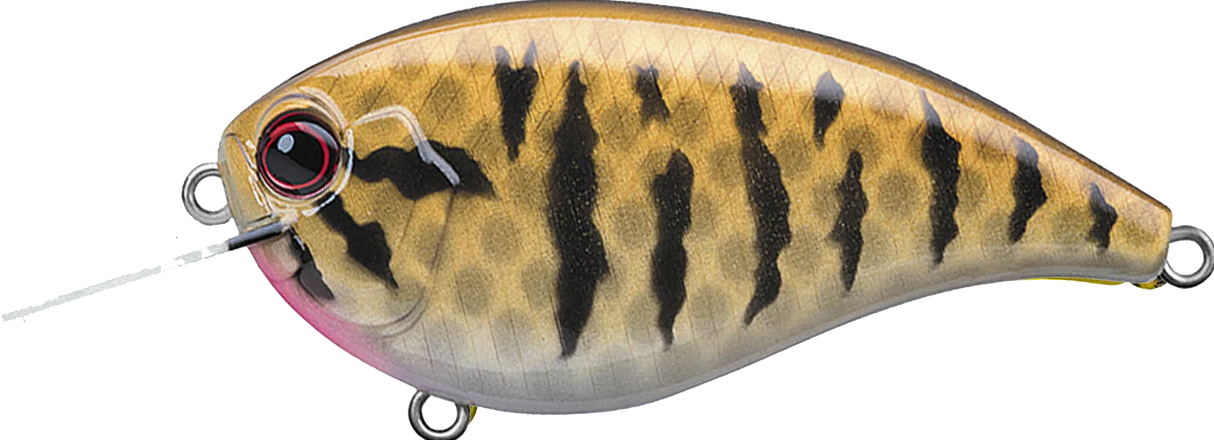 Evergreen Flat Force 4 Crankbait