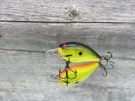 Black Label Tackle 1.5