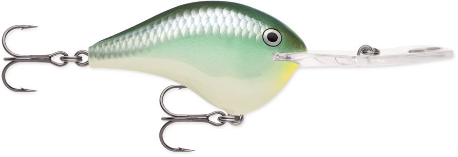 Rapala DT 20 Crankbait