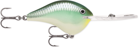 Rapala DT 20 Crankbait