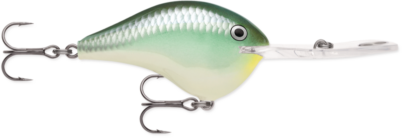 Rapala DT 20 Crankbait