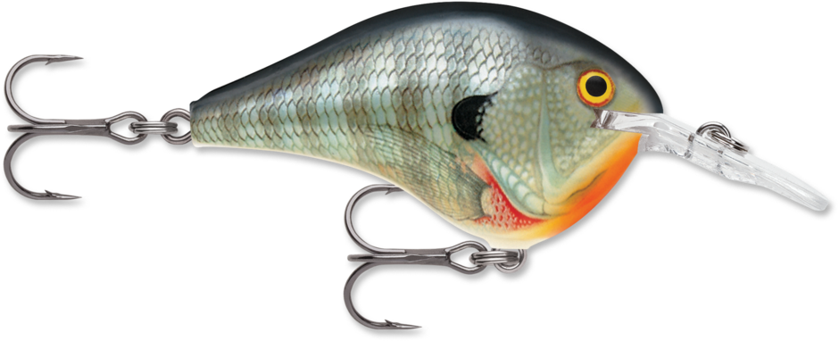 Rapala DT 6 Crankbait