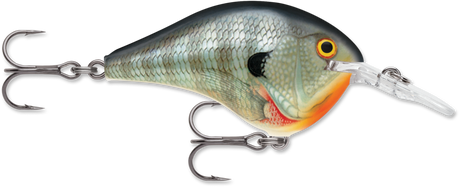 Rapala DT 6 Crankbait