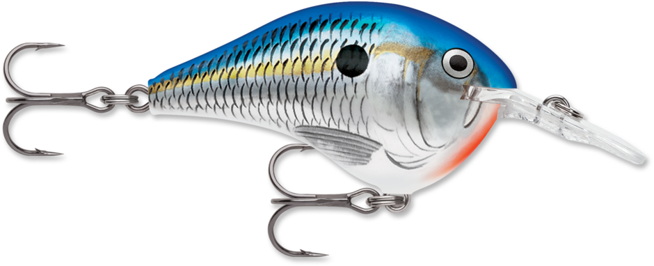 Rapala DT 8 Crankbait