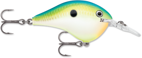 Rapala DT 6 Crankbait