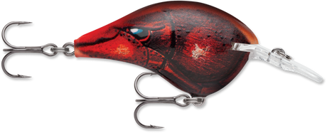 Rapala DT 4 Crankbait