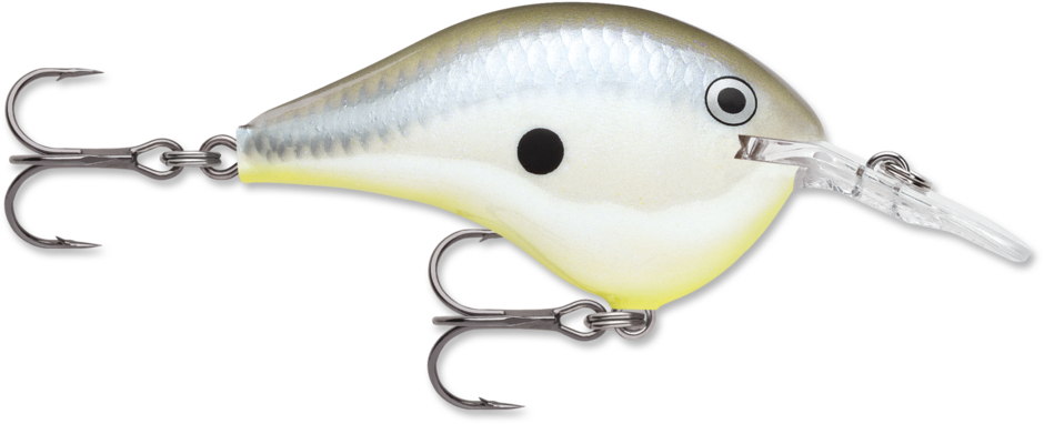 Rapala DT 8 Crankbait