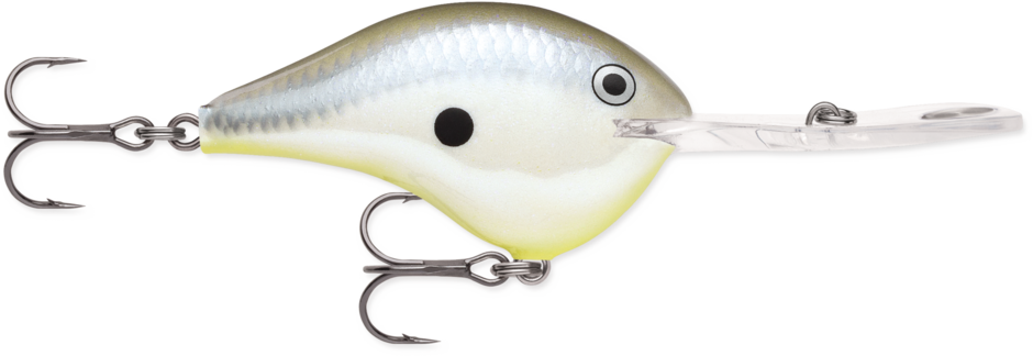 Rapala DT 20 Crankbait