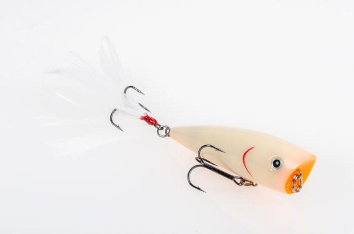 Strike King KVD Splash Popper