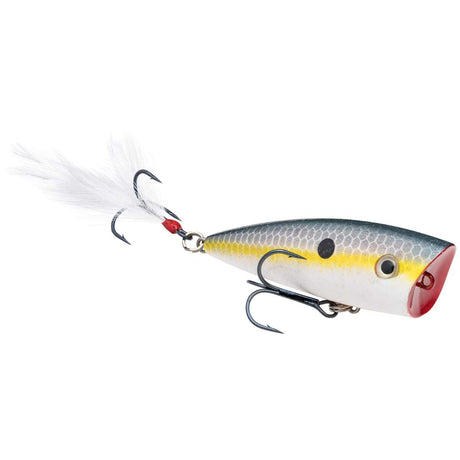 Strike King KVD Splash Popper