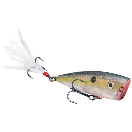 Strike King KVD Splash Popper