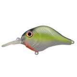 Bill Lewis MR-6 Crankbait