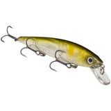 Strike King KVD Jerkbait