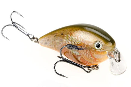 Strike King KVD 1.5 Shallow Squarebill Crankbait