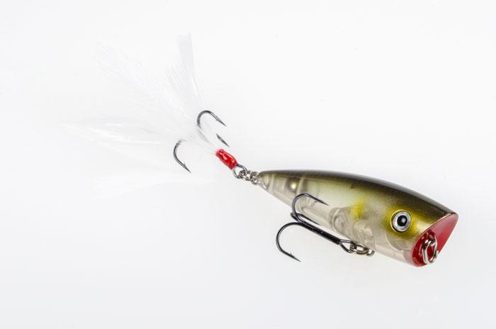 Strike King KVD Splash Popper