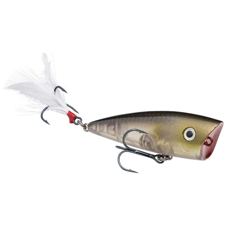 Strike King KVD Splash Popper