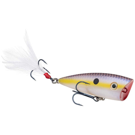 Strike King KVD Splash Popper